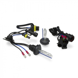 Ampoules xénon H7 6500K