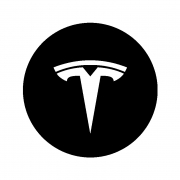 Tesla Türbeleuchtung mit Logo