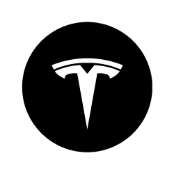 Tesla Türbeleuchtung mit Logo