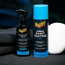 Hybrid Paint Coating